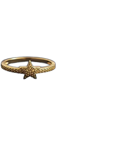 Star Ring Silver and 18k Gold-Plated Life By Vivava Size 12