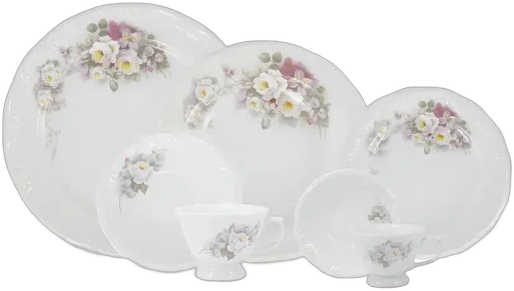 Schmidt Eterna White Porcelain Dinnerware Set, 42 Pieces, Unique