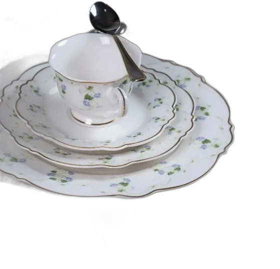 Royal Romantic Dinnerware Set 42 pcs New Bone China Philadelphia