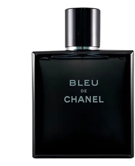 Bleu De Chanel EDT 100ml Men's