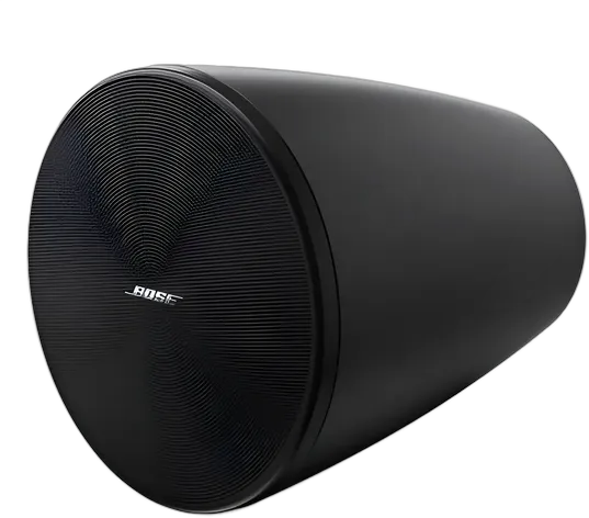 Bose Professional DesignMax DM5P Speaker Black