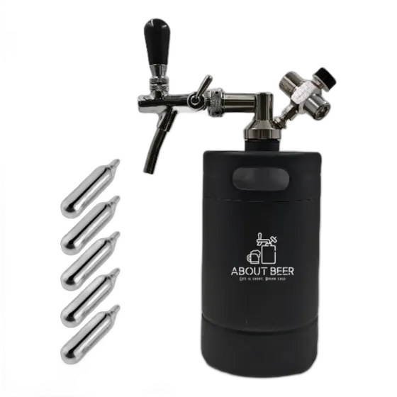 About Beer Keg Vacuum Thermal Beer Dispenser, 2 Liters