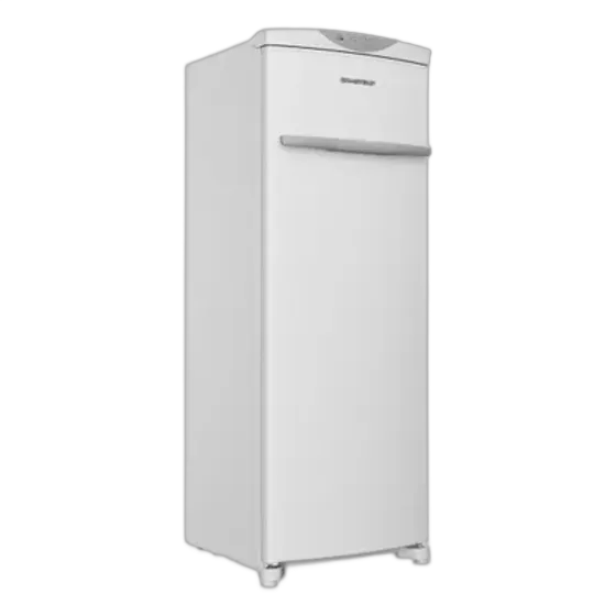 276 Liter 1 Door Vertical Frost Free Freezer BVR28PB