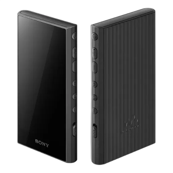 Sony Walkman NW-A306 Digital Music Player, Black