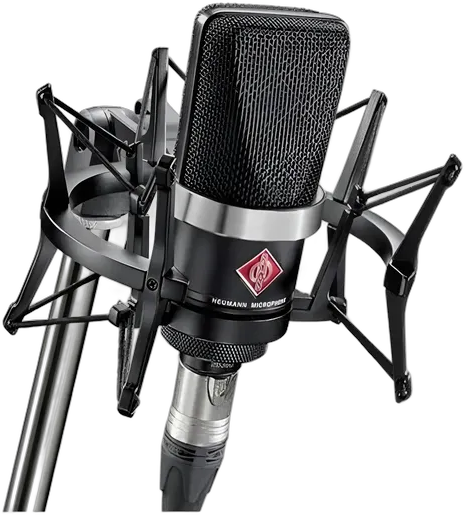 Neumann TLM 102 Cardioid Condenser Microphone, Black