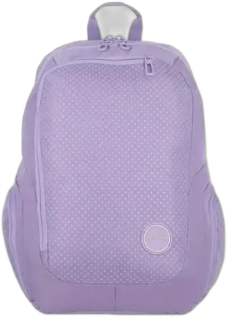 Samsonite Acceleration Juliette Lilac Backpack