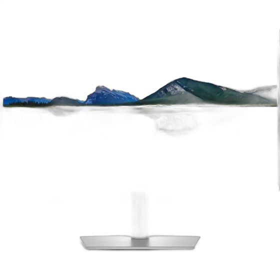 Dell Pro 23.8 Plus P2425DE Monitor