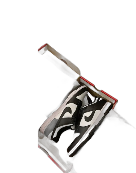 Nike Low Dunk Panda (original, with tag, in box)