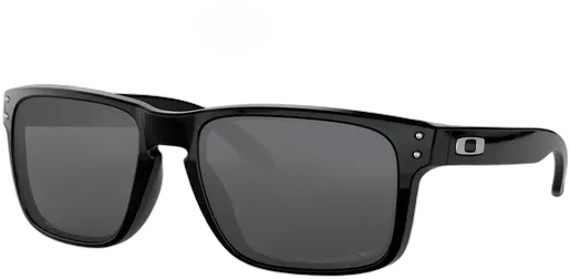 Oakley Holbrook OO9102 Sunglasses Black Prizm Black