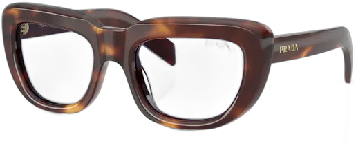 Prada Signature Havana PRD07S 15W30X-53 Sunglasses