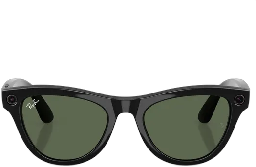 Ray-Ban Skyler Sunglasses with G15 Green Lenses and Shiny Black Frame