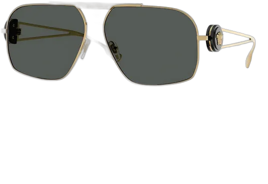 Versace Iconic 0VE2269 Original Metal Sunglasses