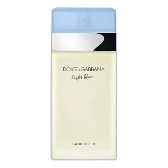 Dolce & Gabbana Light Blue Women's Eau de Toilette 100ml