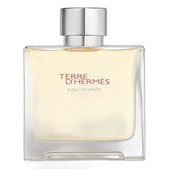 Hermès Terre d'Hermès Eau Givrée Eau de Parfum 50ml Perfume