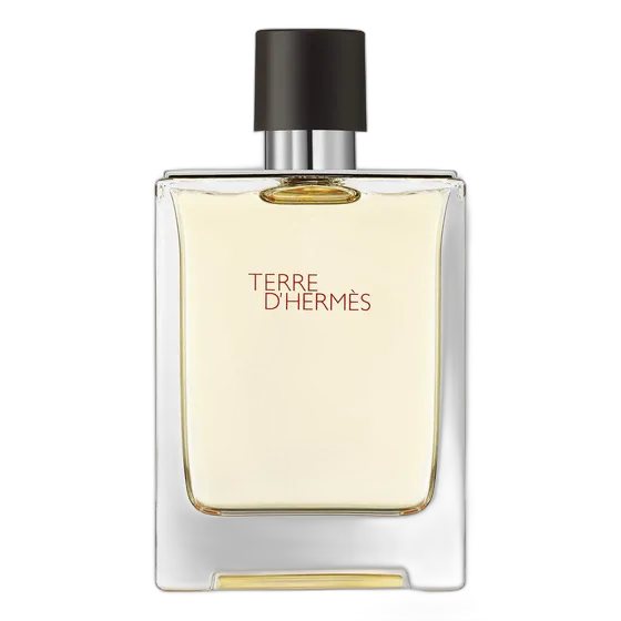Terre d'Hermès Eau de Toilette Men's Perfume 100ml Hermès Original
