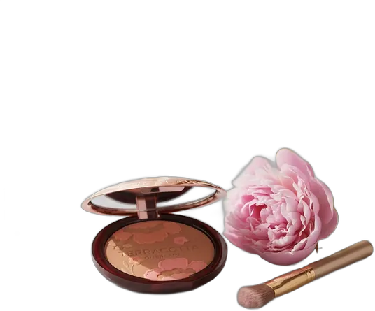 Guerlain Terracotta Powder Bronzer Limited Edition