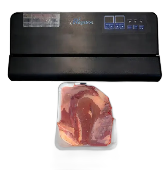 RG-400P Professional Food Vacuum Sealer