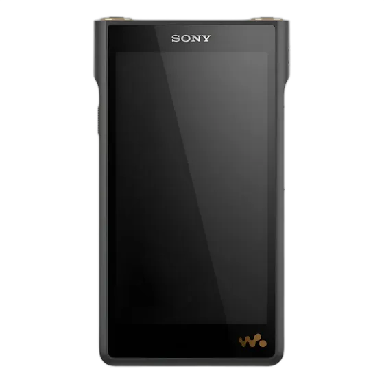Sony NW-WM1AM2 Hi-Res 128GB Walkman Digital MP3 Music Player