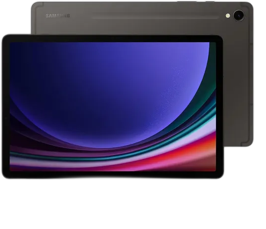 Samsung Galaxy Tab S9 AMOLED Tablet 256GB Gray