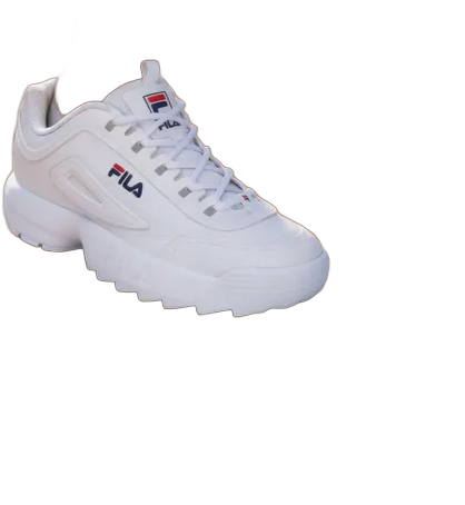 Fila Disruptor II Boys' Casual Urban Sneakers