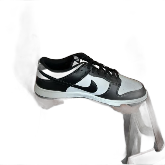 Nike Dunk Low Retro Sneakers 47